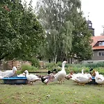 Apartment Shaun Blankenburg (Uckermark)