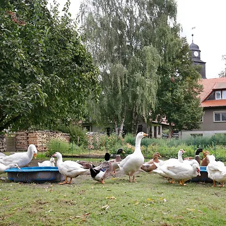 Διαμέρισμα Shaun Blankenburg (Uckermark)