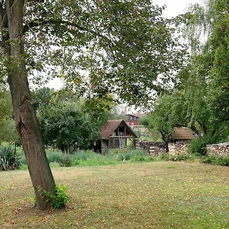 Shaun * Blankenburg (Uckermark)