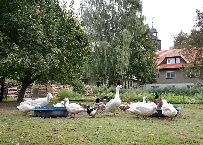 Lägenhet Shaun Blankenburg (Uckermark)