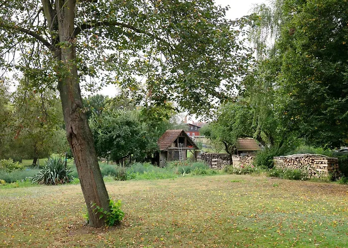 Shaun * Blankenburg (Uckermark)